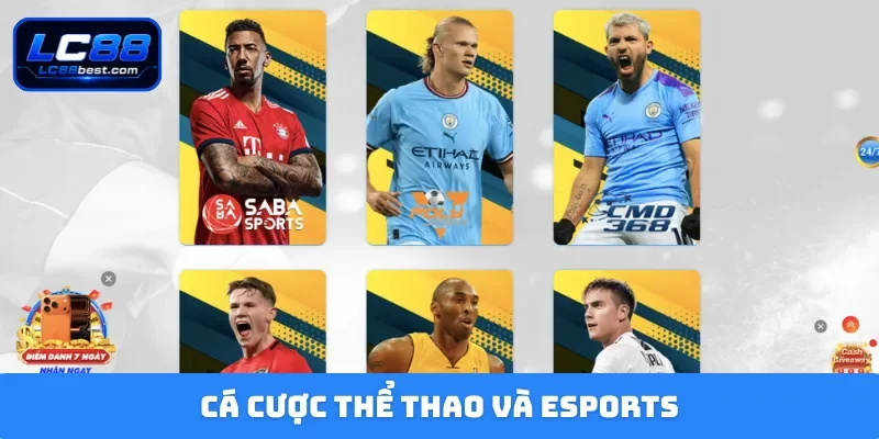 Cá cược thể thao và esports
