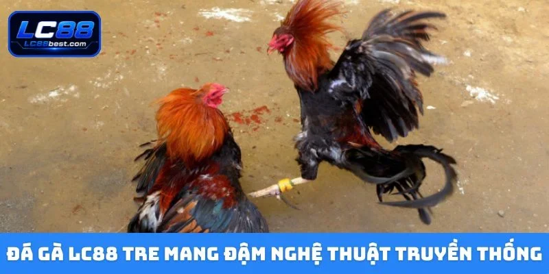 Đá gà LC88 tre mang đậm nghệ thuật truyền thống