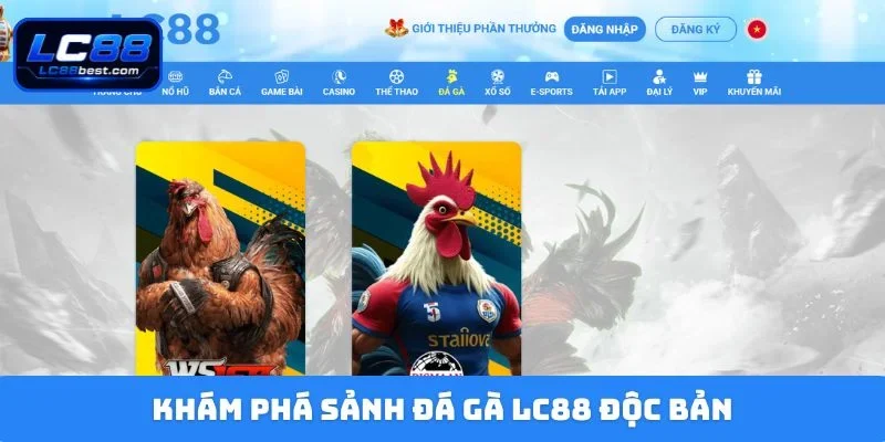Khám phá sảnh đá gà LC88 độc bản