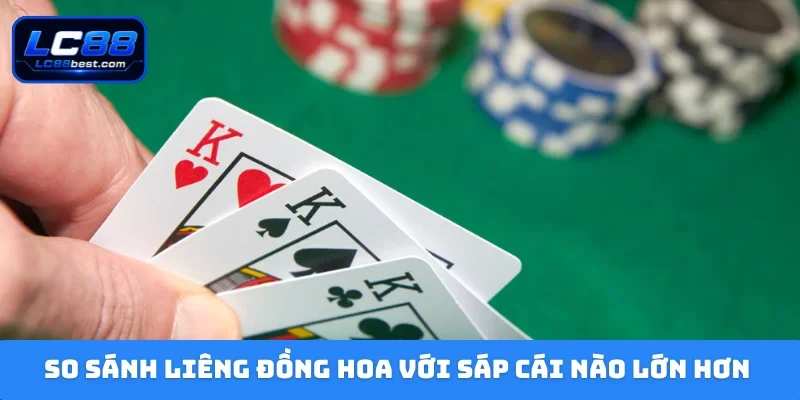 Liêng Đồng Hoa Với Sáp Cái Nào Lớn Hơn