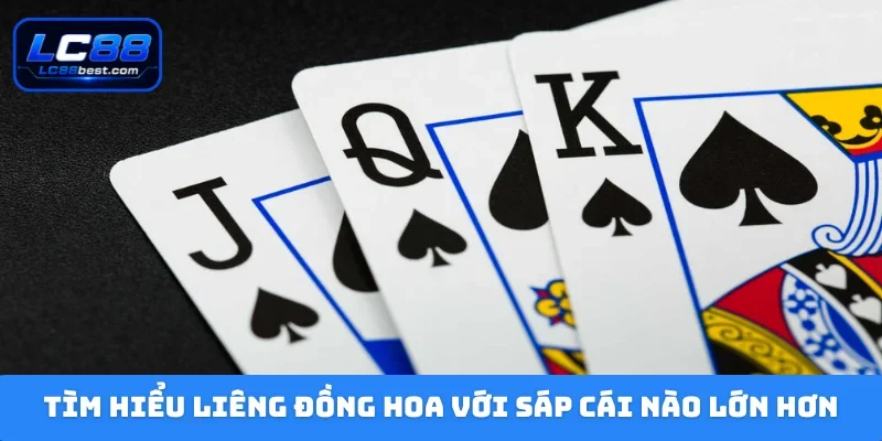 Tìm hiểu liêng đồng hoa với sáp cái nào lớn hơn